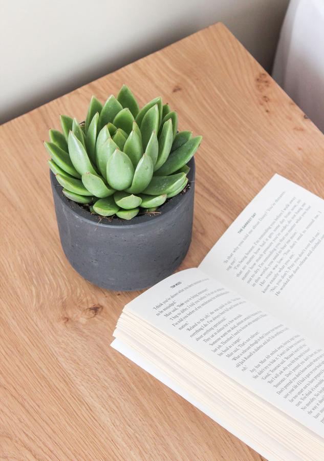 Mykonos Cactus Ξενοδοχείο Ορνός Εξωτερικό φωτογραφία