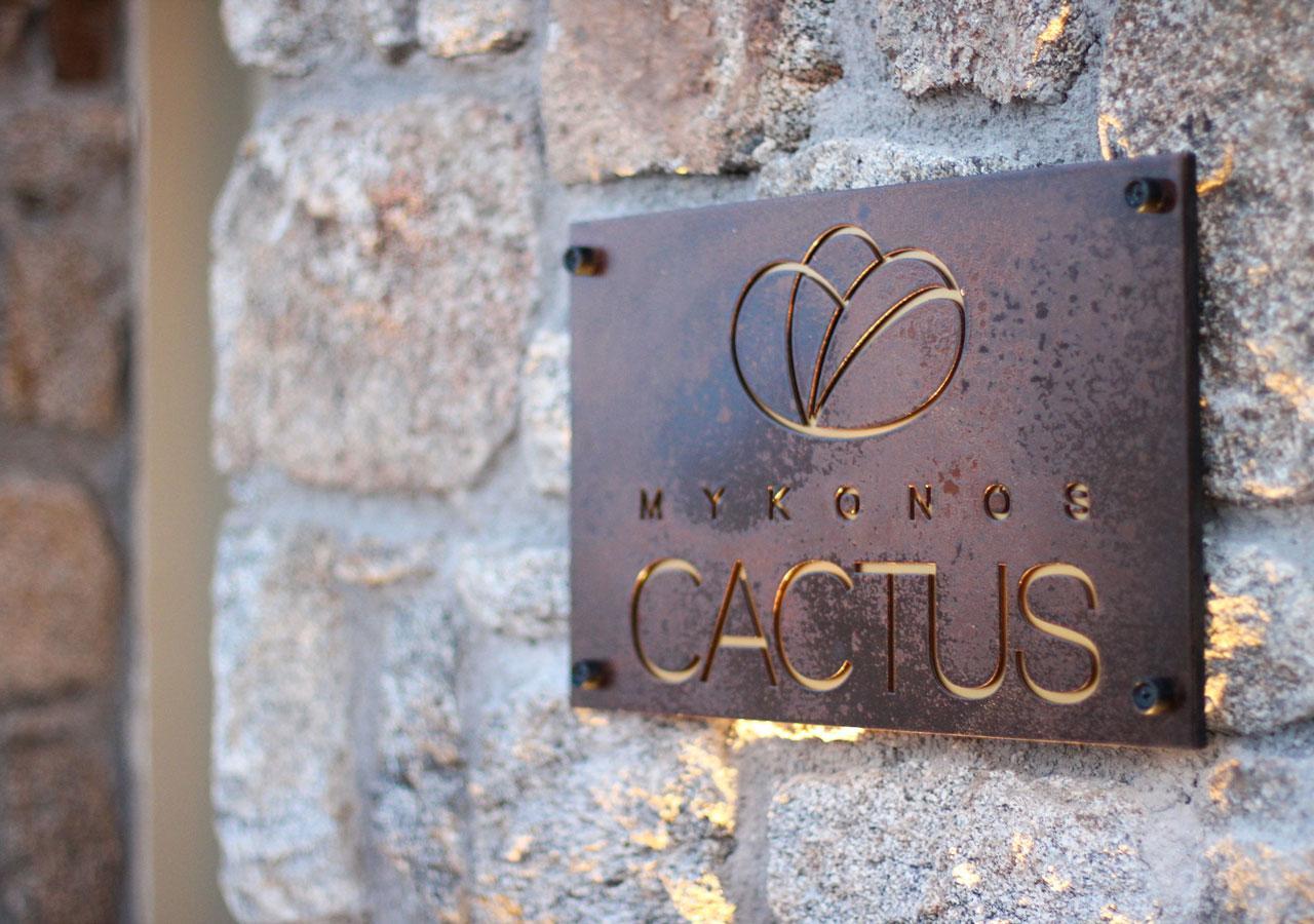Mykonos Cactus Ξενοδοχείο Ορνός Εξωτερικό φωτογραφία